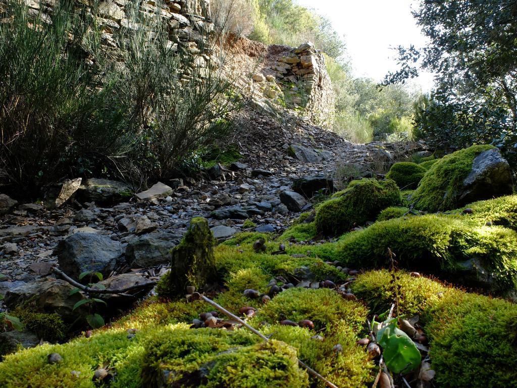 La Maison Du Voyageur Les Ilhes Εξωτερικό φωτογραφία
